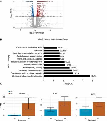 Prior Hypoxia Exposure Enhances Murine Microglial Inflammatory Gene Expression in vitro Without Concomitant H3K4me3 Enrichment